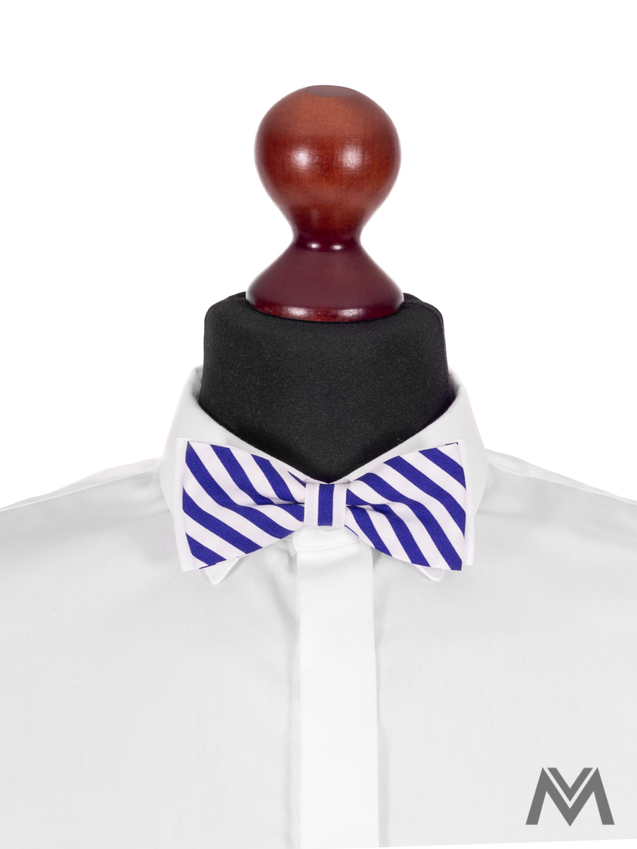 elegancka, pańska, mucha, jasnoniebieska, prezent, praktyczna elegancka, pańska, mucha, jasnoniebieska, prezent, praktyczna