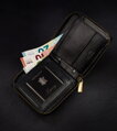 Luxusní pánská peněženka ALWAYS WILD N50504 černá 
