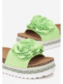 Trendy dámské pantofle A14 GREEN 