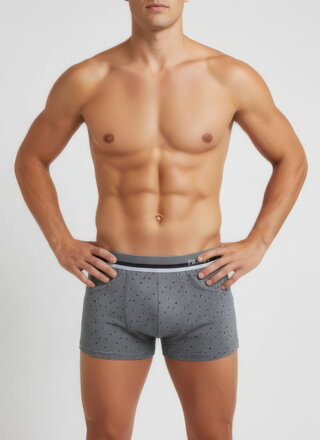 Pánské šedé bavlněné boxerky PAMUT