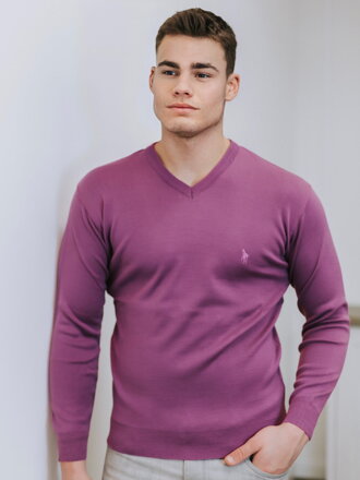 Stylový pánský fialový svetr N18